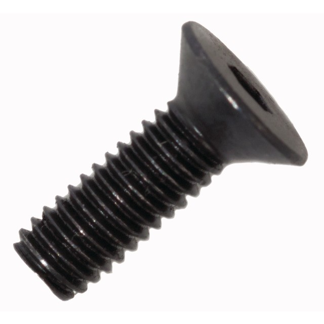 Bosch Befestigungsschrauben klein M4x10 Protection Cover Performance Speed/CX, 1270016431