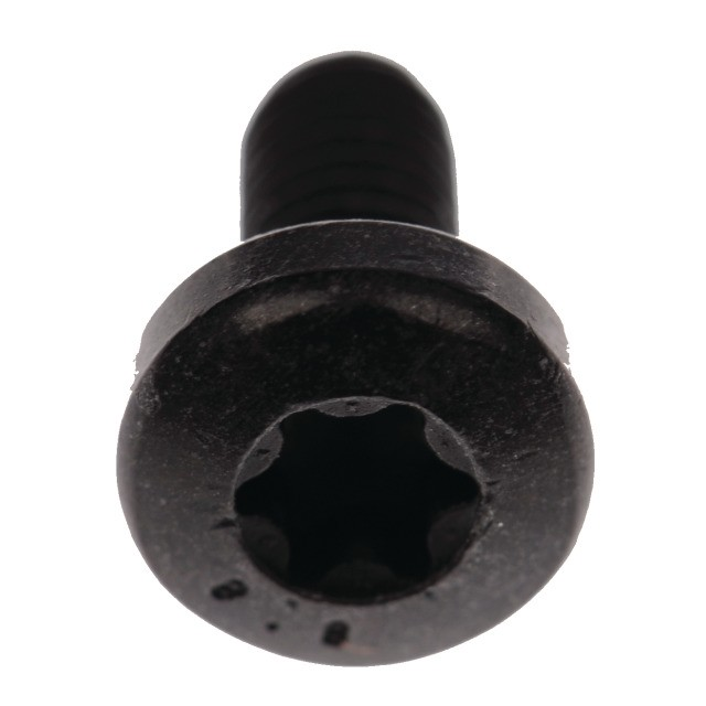 Bosch   Befestigungsschrauben M6x20 2 Stk für Montage der Antriebseinheit Gen1, 1270016436