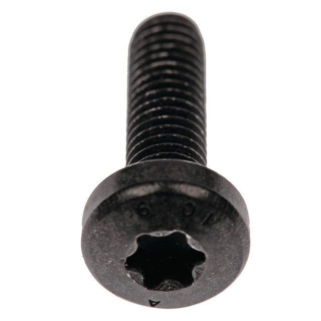 Bosch   Torx Schraube T20 für Steinschlagschutz, 1270016435