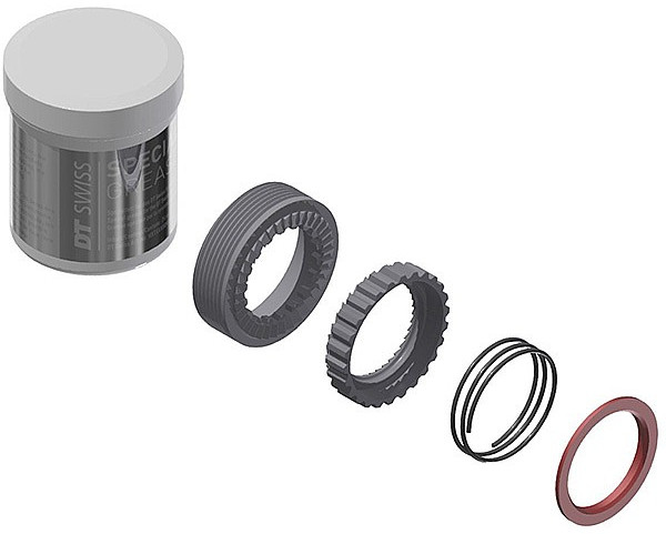 DT Swiss Zahnscheiben Kit EXP 36T, 2 Stk. inkl. Feder und Fett