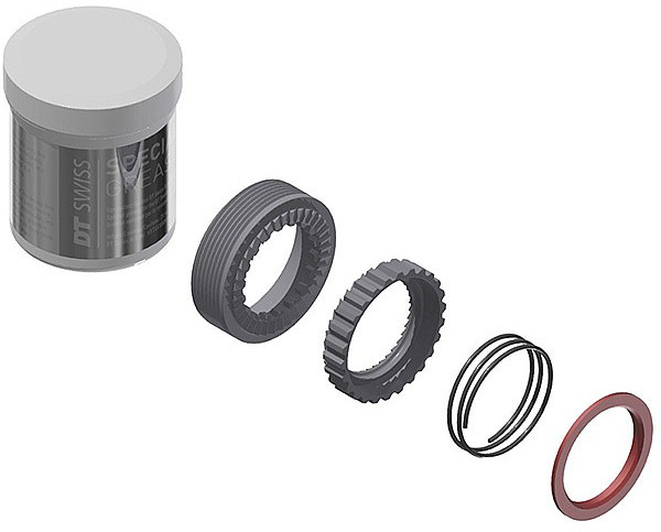 DT Swiss Zahnscheiben Kit EXP 54T Upgrade, 2 Stk. inkl. Feder und Fett