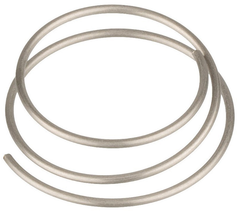 DT Swiss Feder für Zahnscheibe EXP, 1 stk