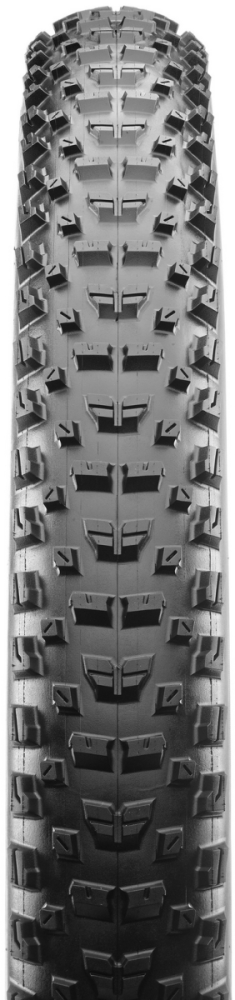 Maxxis Rekon Race EXO TR Dual E-25 29x2.25