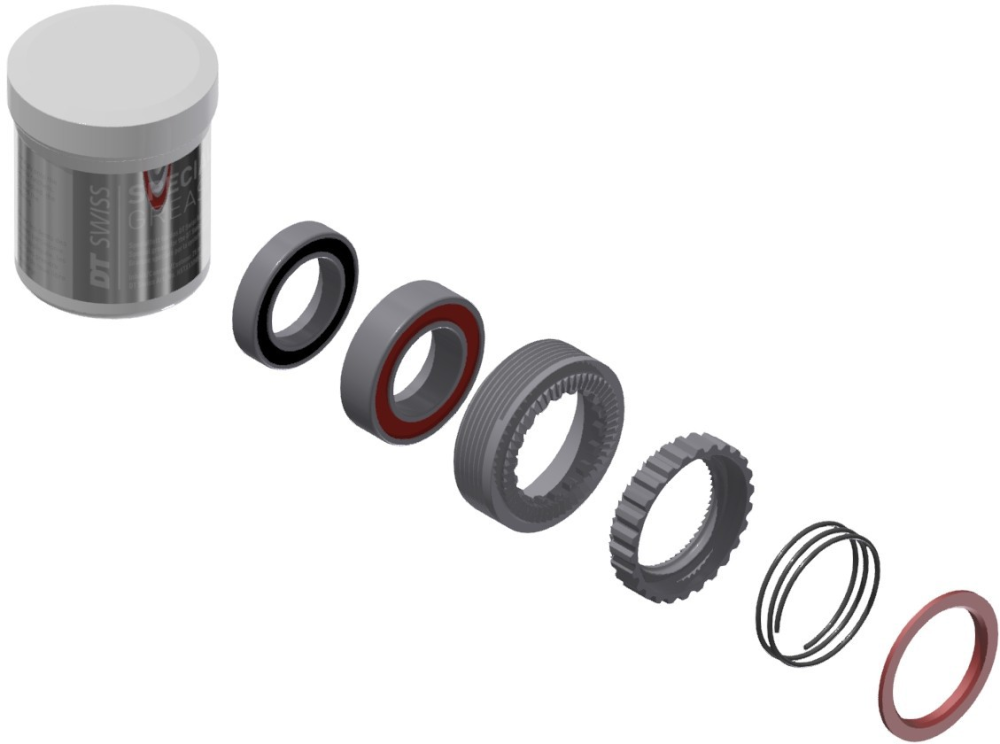 DT Swiss Zahnscheiben Kit EXP 54T 180, 2 Stk. inkl. Feder, Fett und 2 Lager Stahl
