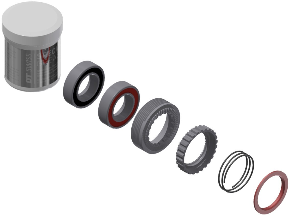 DT Swiss Zahnscheiben Kit EXP 54T 240, 2 Stk. inkl. Feder, Fett und 2 Lager Stahl