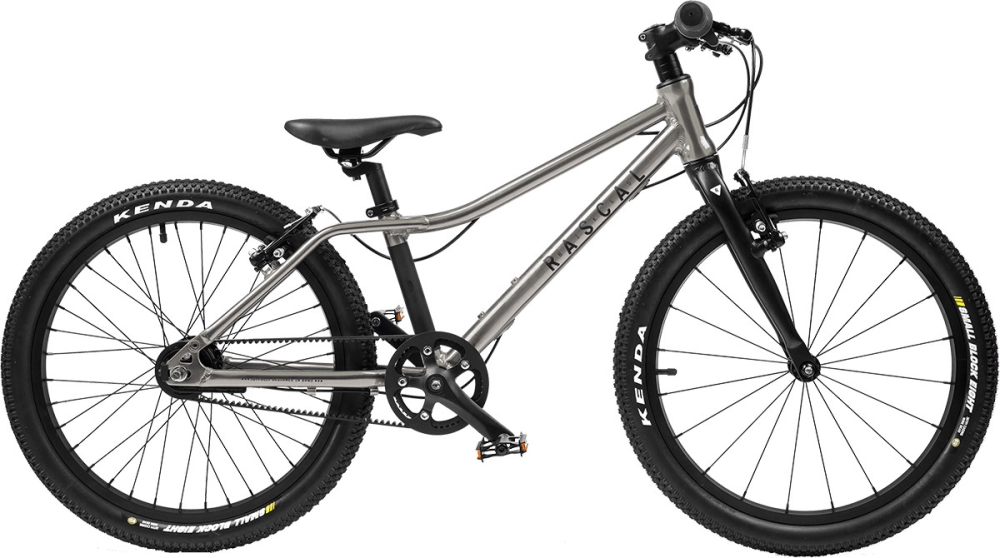 Rascal Bikes Rascal 20 Belt Drive 3-Gang, Titan 20 Zoll