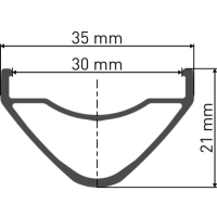 DT Swiss Felge XM 481 29 Disc 28 Loch