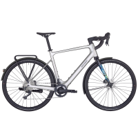 Bergamont E-Grandurance RD Expert, shiny flaky silver, XL