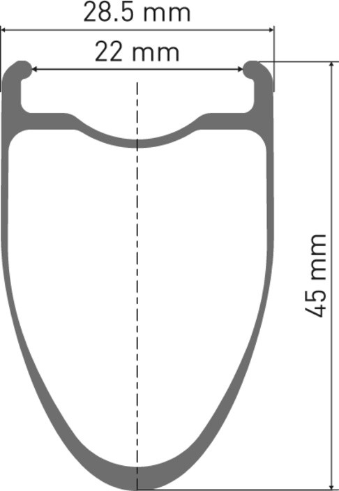 DT Swiss   ERC 1100 Dicut 45 WTS Disc, Vorderrad