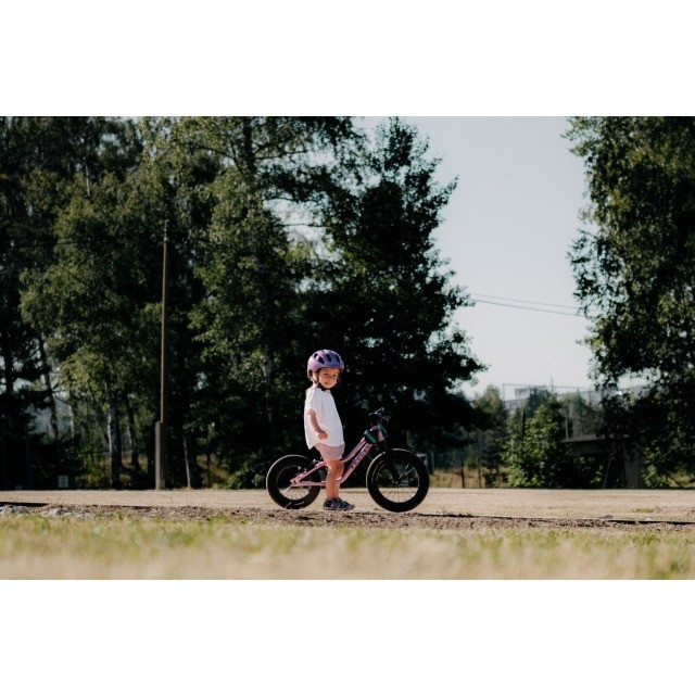 Rascal Bikes Rascal Punk! Laufrad, Titan