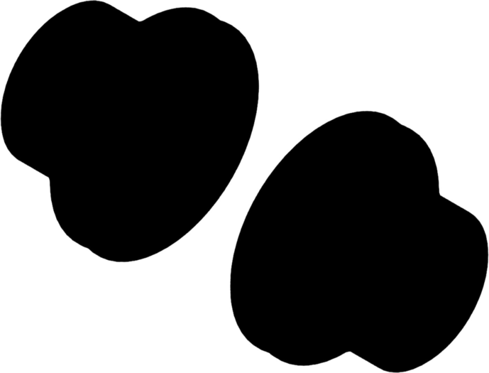 DT Swiss FR Kit Endanschlag 110/Ø20mm black NonBoost