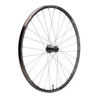 Race Face Turbine SL 25 ALU MTB CLN 6 Bolt Wheel, 29"/12x148-B, Shimano HG Body 