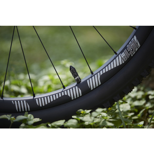 Ethirteen Tubelessventil Schrader Quickfill Gen2 Aluminium , 2 Stk 16-24mm, braun