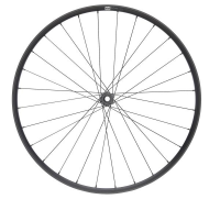 NEWMEN Performance 30 Light XC/Trail 29" 15 x 110mm 6-Loch Laufrad vorne