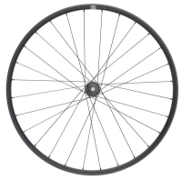 NEWMEN Performance 30 Base Trail 29" 12 x 148mm Sram XD 6-Loch Laufrad hinten