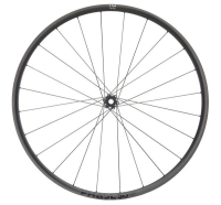 NEWMEN Phase 30 light XC VONOA 29" 15 x 110mm 6-Loch Laufrad vorne