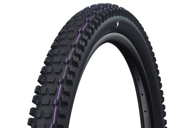 Schwalbe Pneu Albert 29x2.50 Gravity Pro Addix UltraSoft TL-Ready black