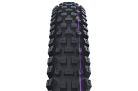 Schwalbe Pneu Albert 29x2.60 Gravity Pro Addix Soft TL-Ready black