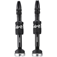 e*thirteen Ethirteen Tubelessventil Quickfill Gen2 Aluminium 2 Stk 16-24mm, Schwarz