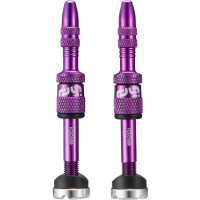 e*thirteen Ethirteen Tubelessventil Quickfill Gen2 Aluminium 2 Stk 16-24mm, Schwarz