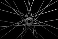 Bike Ahead SAFEWING 30 SL, REAR, 12x148 mm, 29" (DT SWISS 180 EXP HUB), Shimano Microspline 