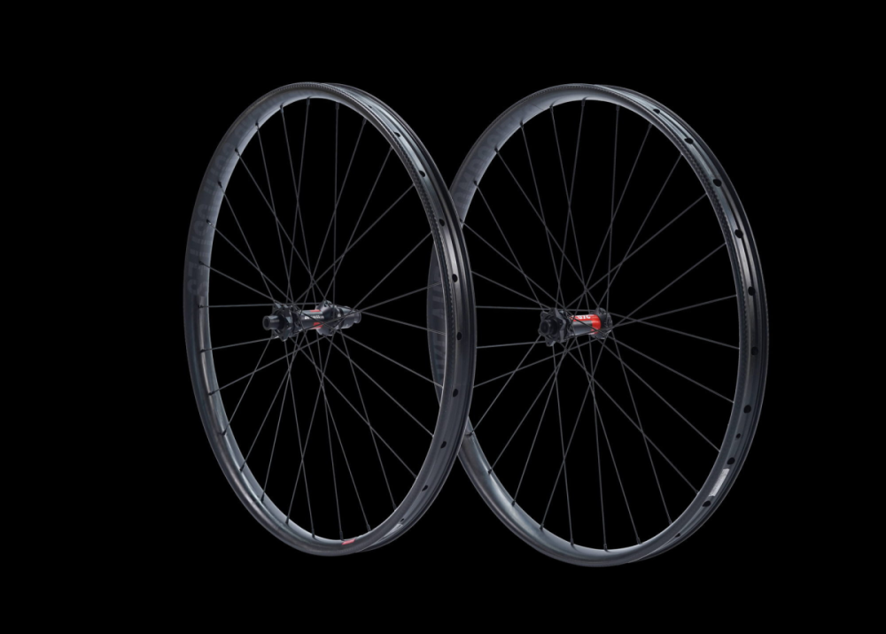 Bike Ahead SAFEWING 30 EN, 29", (DT SWISS 240 EXP HUB), Vorderrad