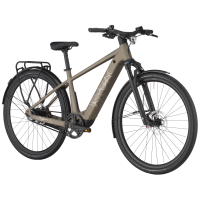 Bergamont Helix 10 Belt, warm silver, XL