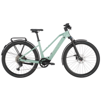 Bergamont Helix 20 Slope, sage green, M