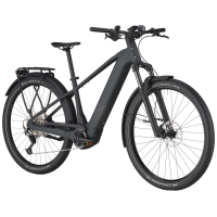 Bergamont E-Revox Tour 20, flaky black, L