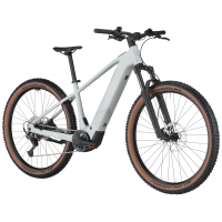 Bergamont E-Revox Sport 20, argento white, XL