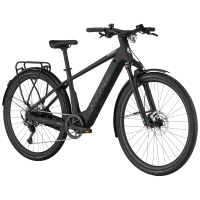 Bergamont Helix 20, black matt, XL