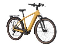 Bergamont E-Horizon Sport 20, colorado gold, S