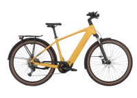 Bergamont E-Horizon Sport 20, colorado gold, S
