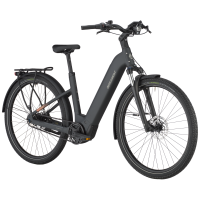 Bergamont E-Horizon Tour 20 Belt Wave, flaky black, L