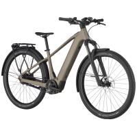 Bergamont E-Revox Tour 10 Belt, warm silver, M