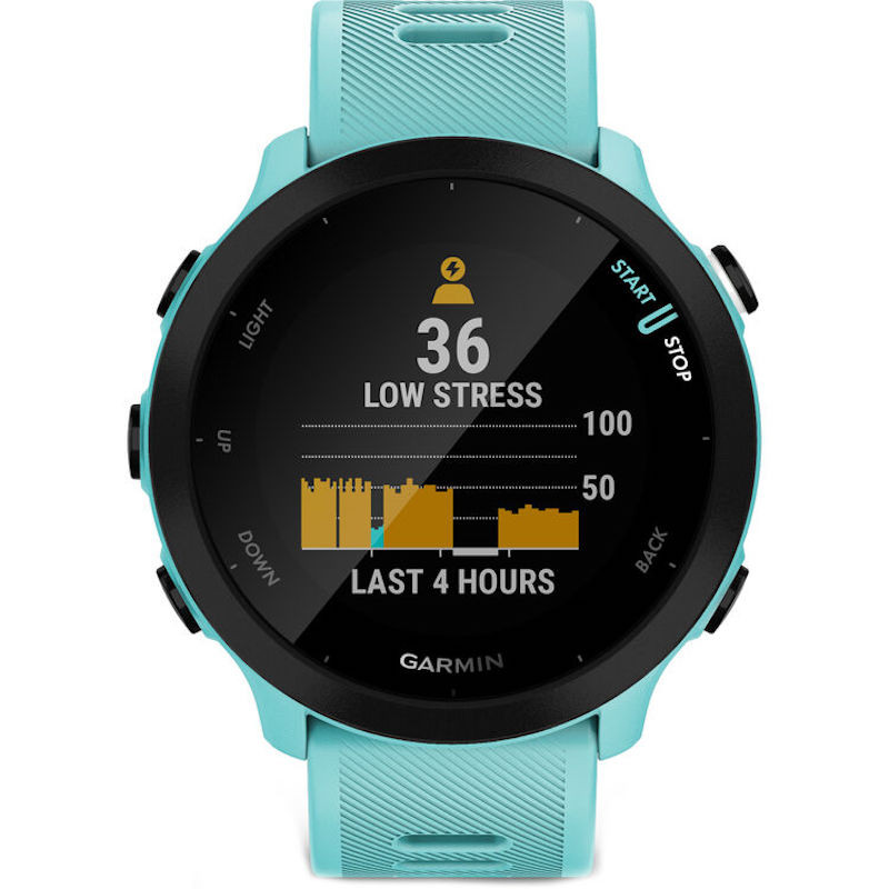 Garmin Forerunner 55 Aqua, Sportuhr