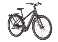 Bergamont E-Vitess Expert Lady, 48