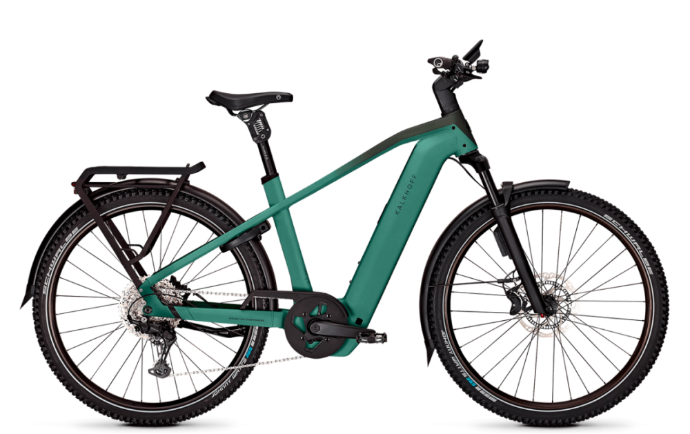 Kalkhoff ENTICE 5+ EXCITE ABS, mineralgreen / huntsmengreen matt, 800Wh, L