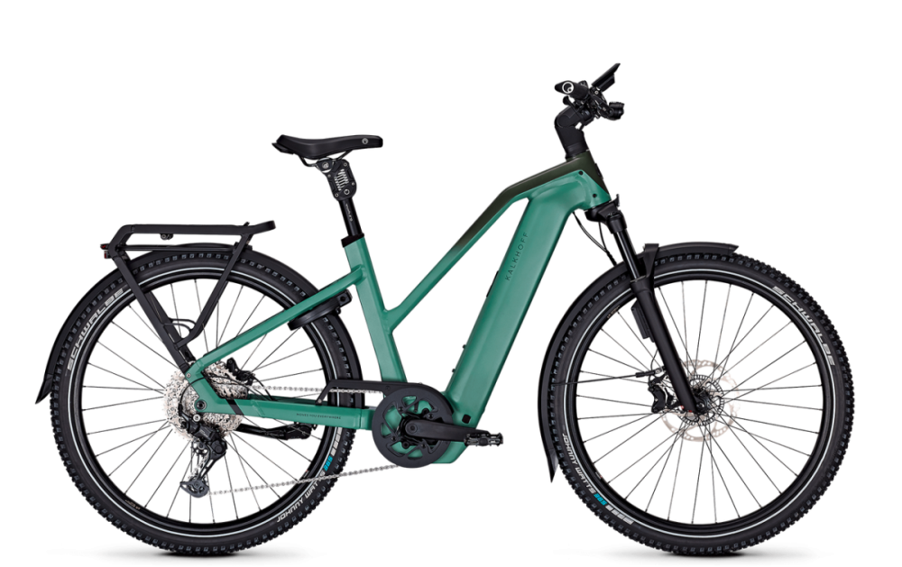 Kalkhoff ENTICE 5+ EXCITE ABS, mineralgreen / huntsmengreen matt, 800Wh, Trapez, M