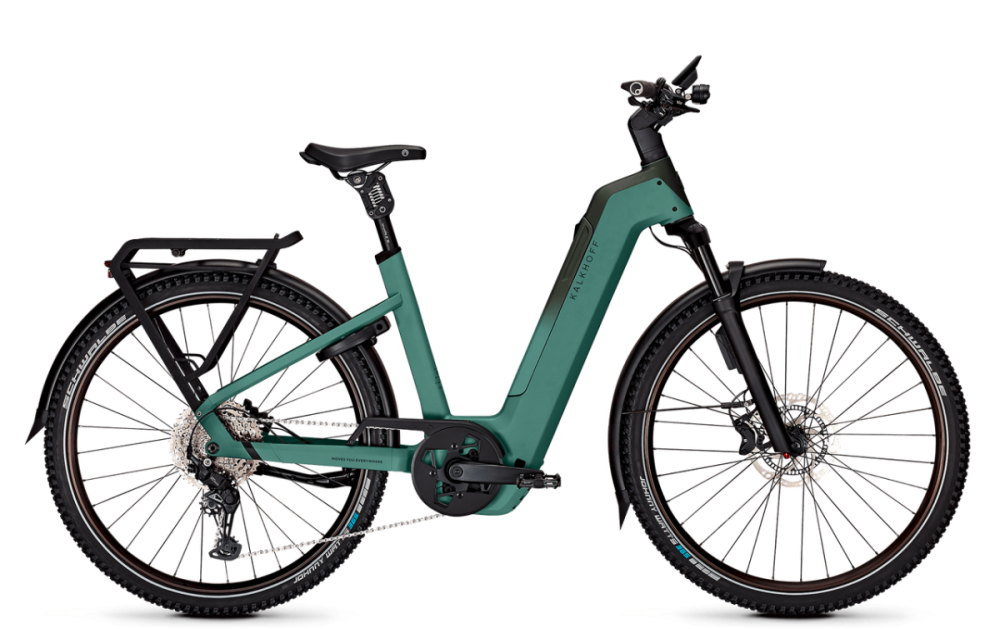 Kalkhoff ENTICE 5+ EXCITE ABS, mineralgreen / huntsmengreen matt, 800Wh, Tiefeinsteiger, XL