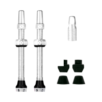 V2 Tubeless Ventil Kit 60mm/silver 60 mm, silber