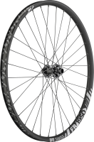 DT Swiss   FR 1950 CLASSIC Laufrad 29" IS 30 110/20mm