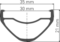 DT Swiss   FR 1950 CLASSIC Laufrad 29" IS 30 110/20mm