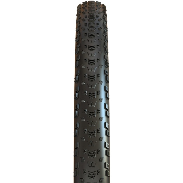 Maxxis Aspen EXO TR MaxxSpeed E-25 29x2.40WT